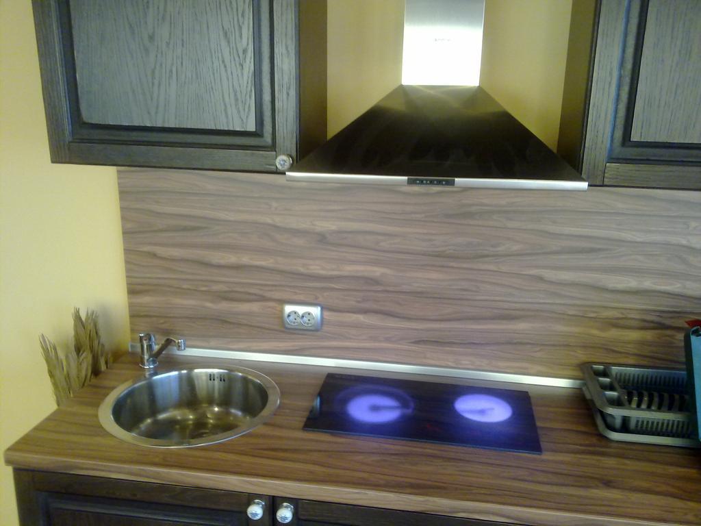 Mountain Dreams Apartment Sapareva Banya ภายนอก รูปภาพ